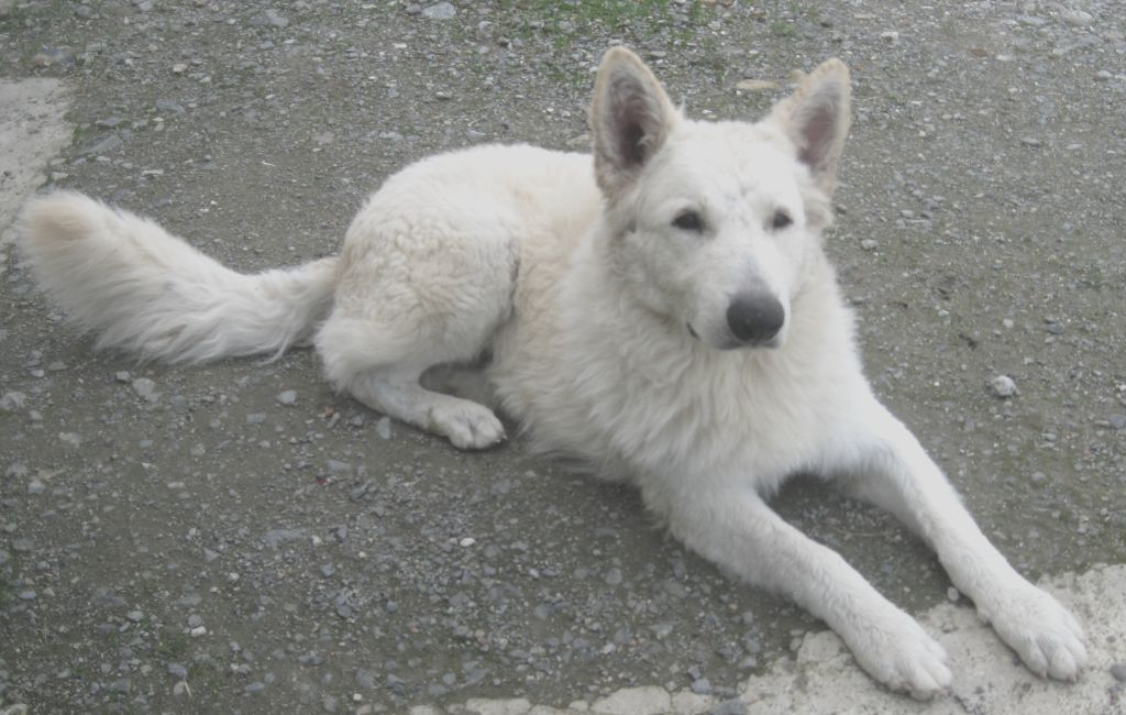 Taiko tobi Du Domaine Des Beautés Divines