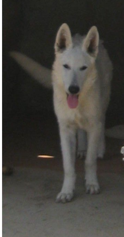 Aladdin Du Domaine Des Beautés Divines